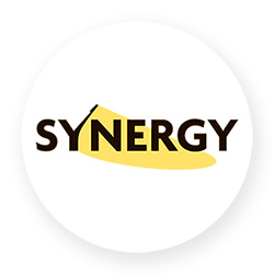 Презентация Synergy